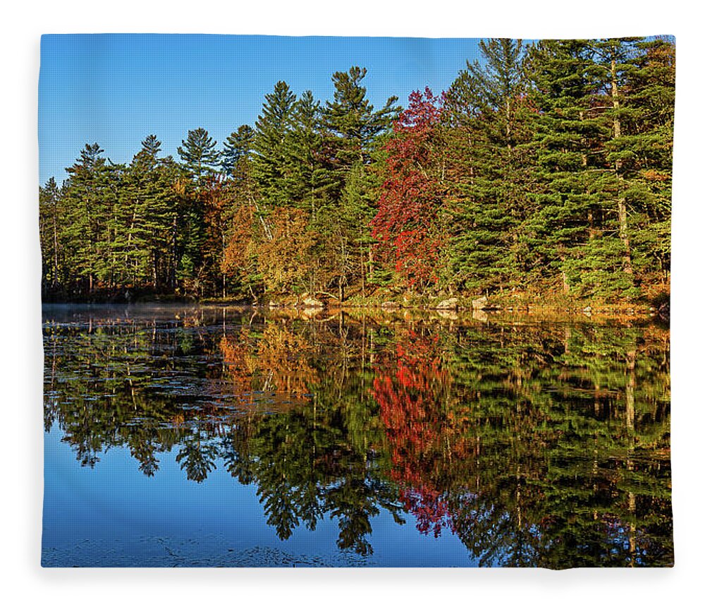 Fall Fleece Blanket featuring the photograph Adirondacks Autumn at Tupper Lake 1 by Ron Long Ltd Photography