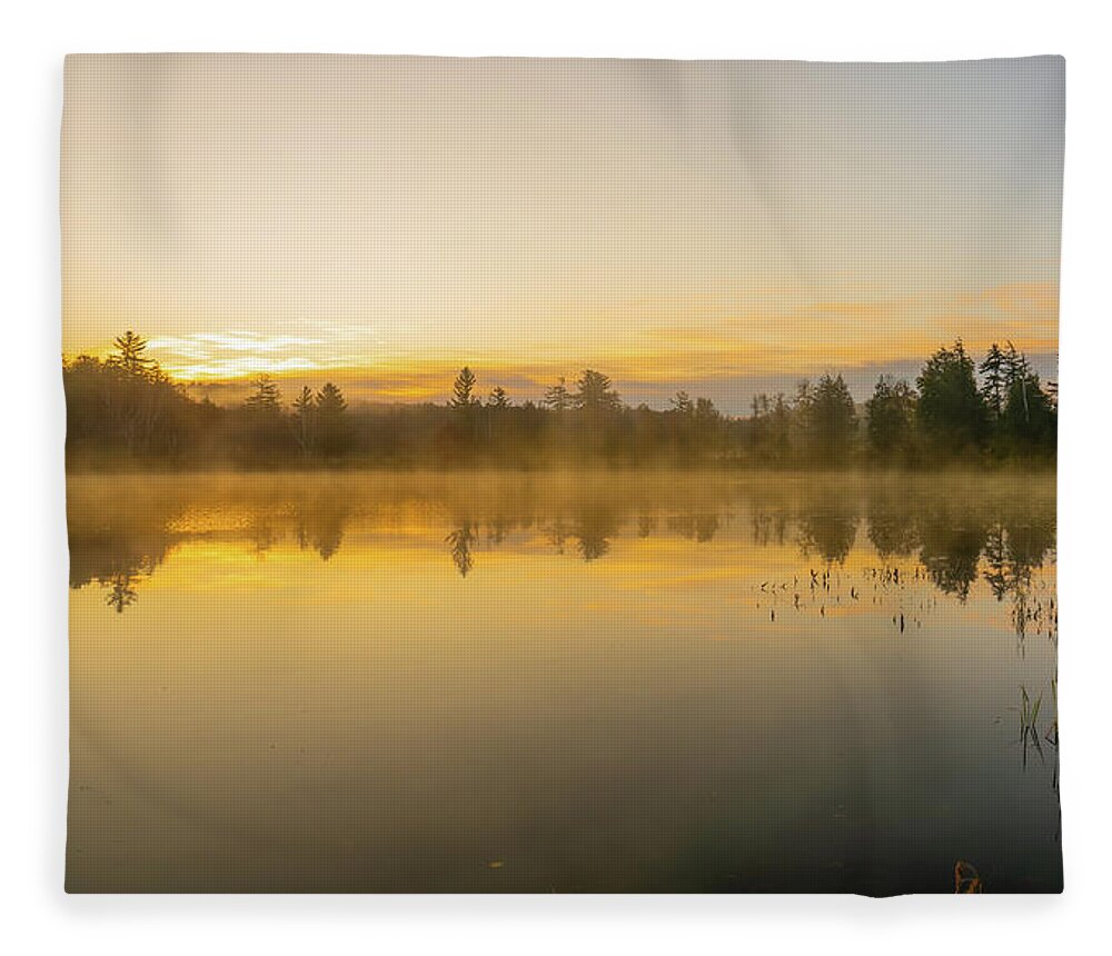 Fall Fleece Blanket featuring the photograph Adirondacks Autumn at Tupper Lake 2 by Ron Long Ltd Photography