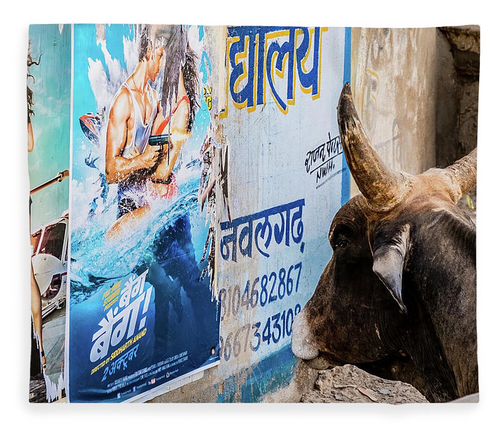 Ceiling Fleece Blanket featuring the photograph Advertisings touch even the cows from Nawalgarth, Rajasthan by Lie Yim