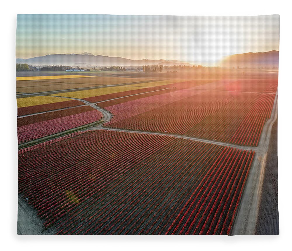 Skagit Fleece Blanket featuring the photograph Aerial Tulips1 by Michael Rauwolf