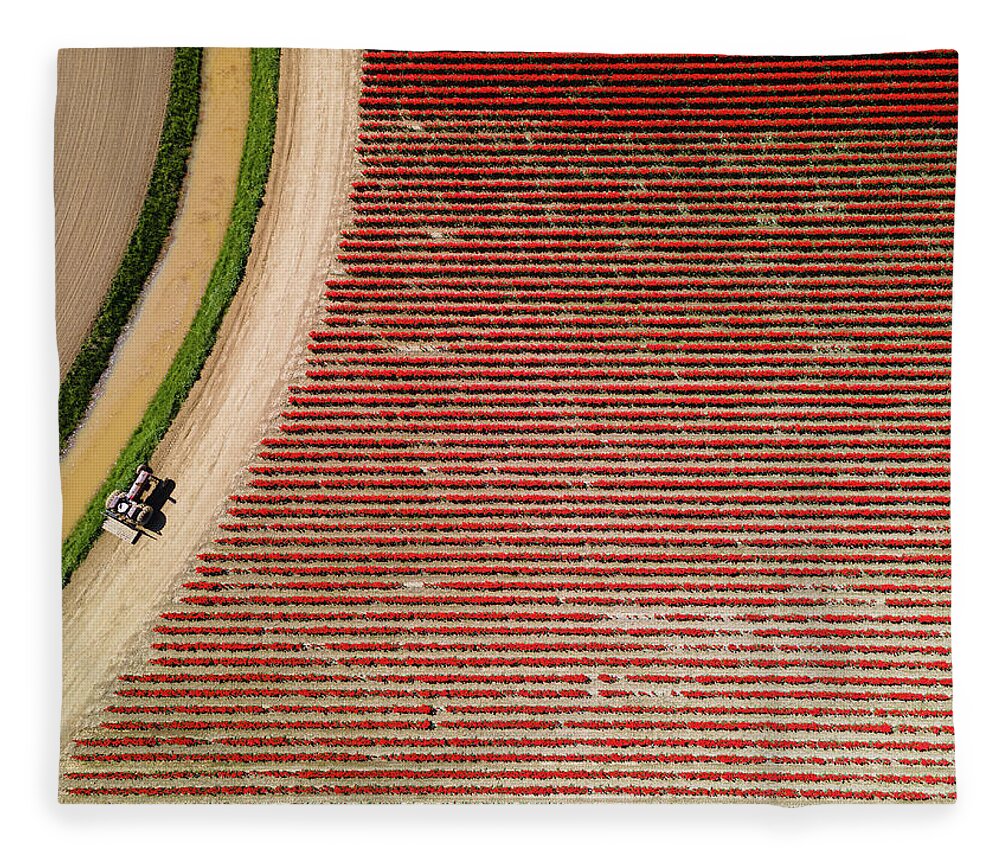Skagit Valley Tulips Fleece Blanket featuring the photograph Aerial Tulips3 by Michael Rauwolf