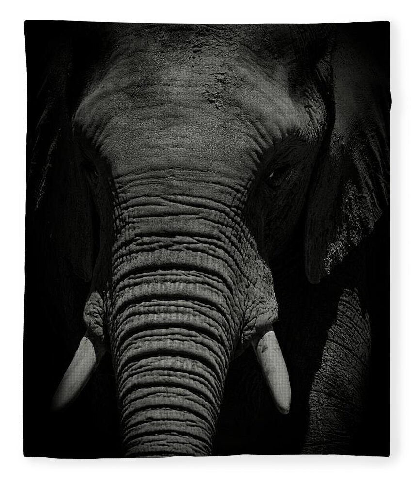 Photo Fleece Blanket featuring the photograph African Elephant #1 by Matthew Adelman