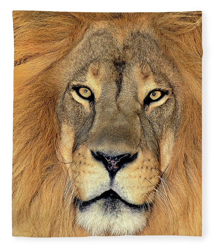 African Lion Fleece Blanket featuring the photograph African Lion Portrait Wildlife Rescue by Dave Welling