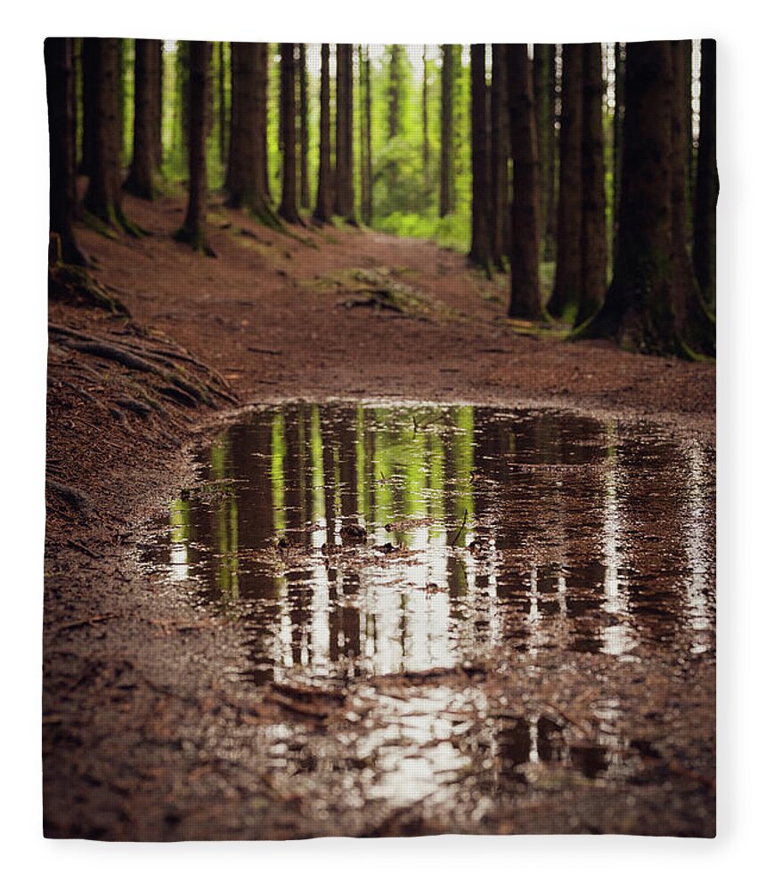 Forest Fleece Blanket featuring the photograph After the rains came by Gavin Lewis