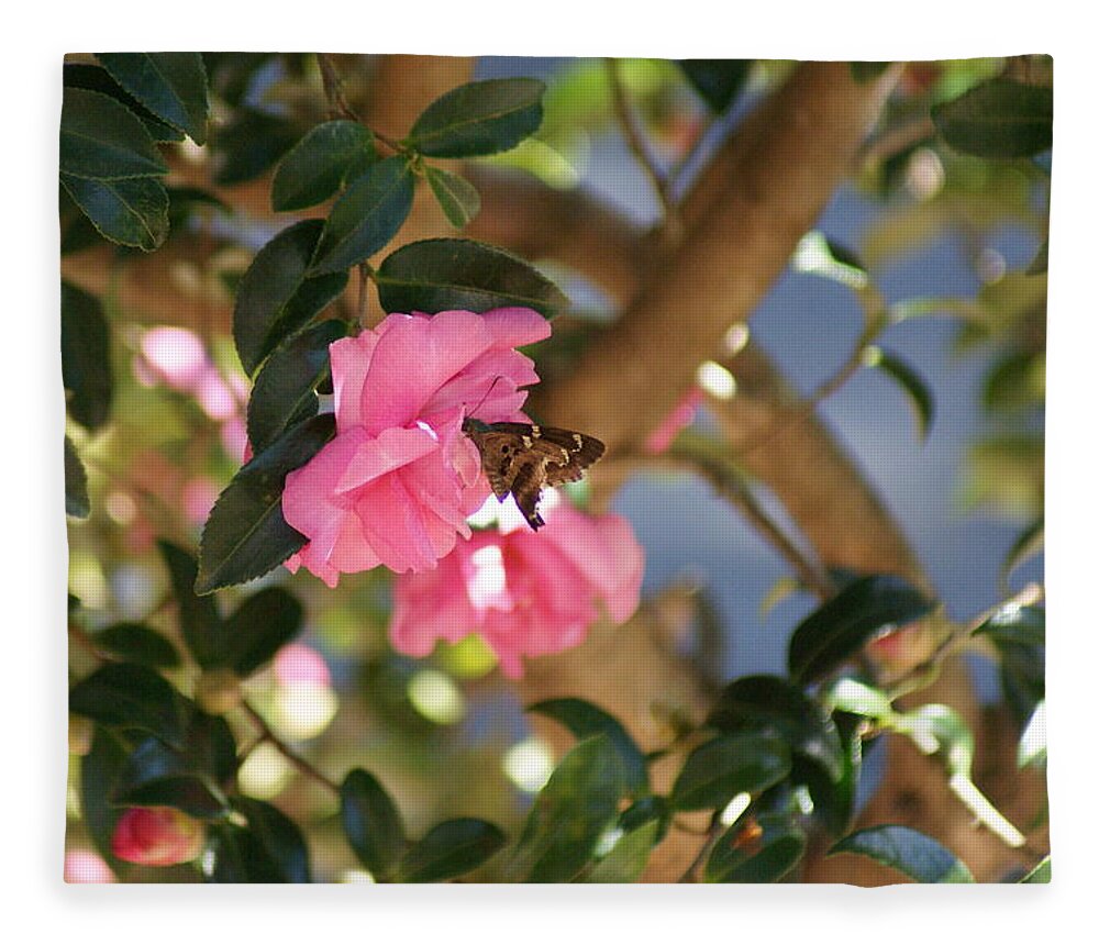  Fleece Blanket featuring the photograph Afternoon Snack by Heather E Harman