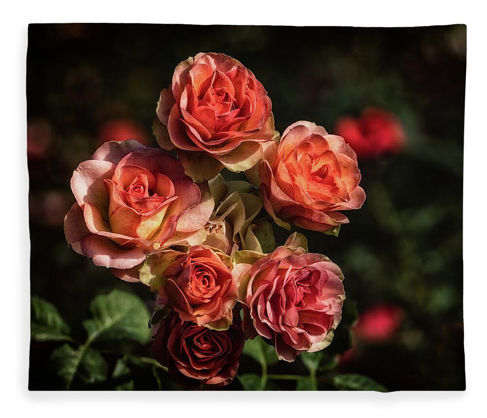 Plant Fleece Blanket featuring the photograph Aging Beauty by Laura Roberts