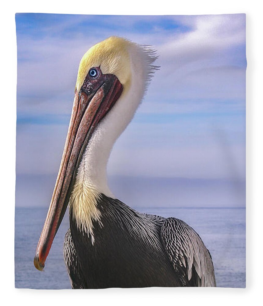 Pelican Fleece Blanket featuring the photograph Alan the Pretty Pelican 1 by Sally Bauer