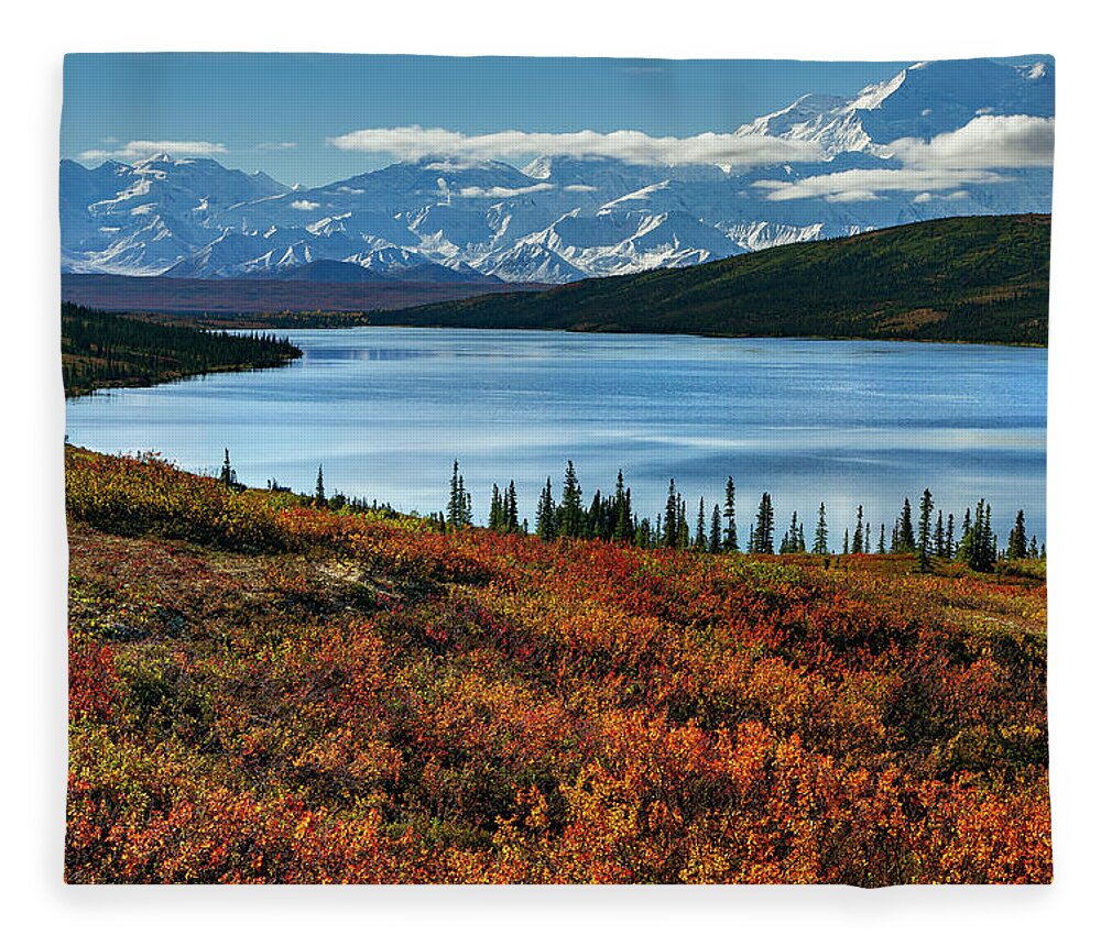 Alaska Fleece Blanket featuring the photograph Alaska - Wonder lake in Denali national park by Olivier Parent