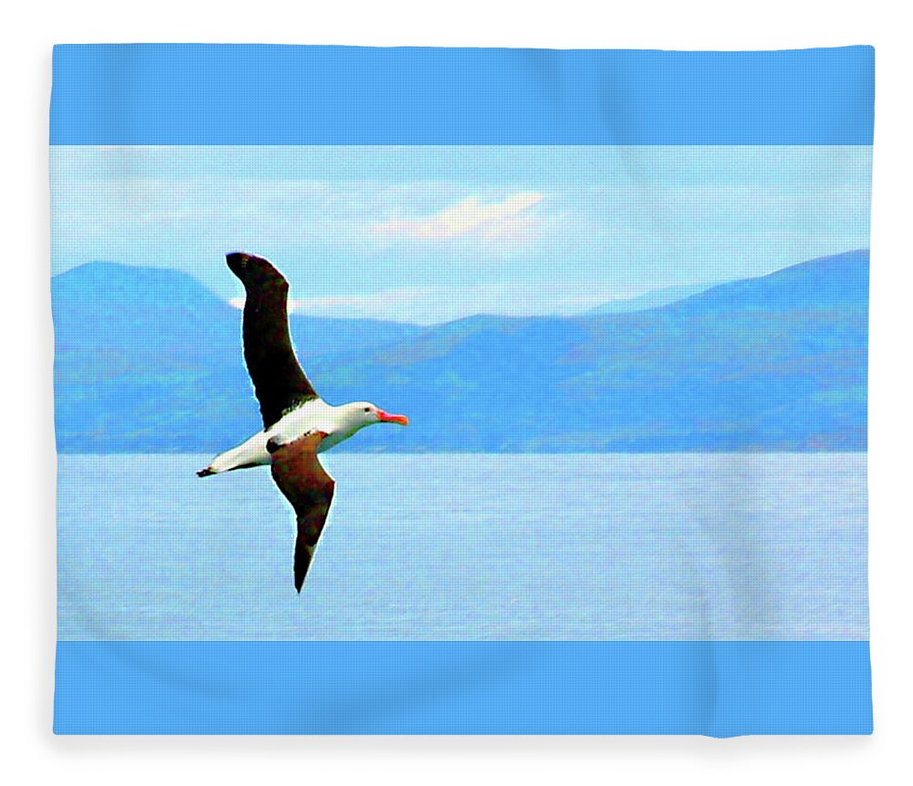 New Zealand Fleece Blanket featuring the photograph Albatross flying over Otago new Zealand by Sam Hall