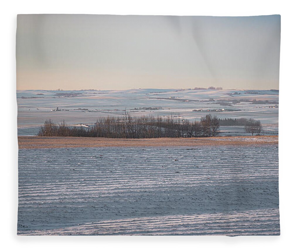 Agriculture Fleece Blanket featuring the photograph Alberta winter wheat farm landscape by Karen Rispin