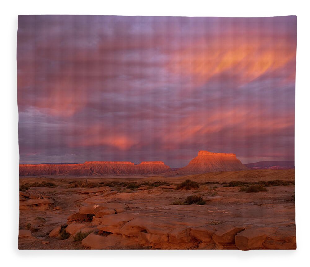 Utah Fleece Blanket featuring the photograph Alight by Dustin LeFevre