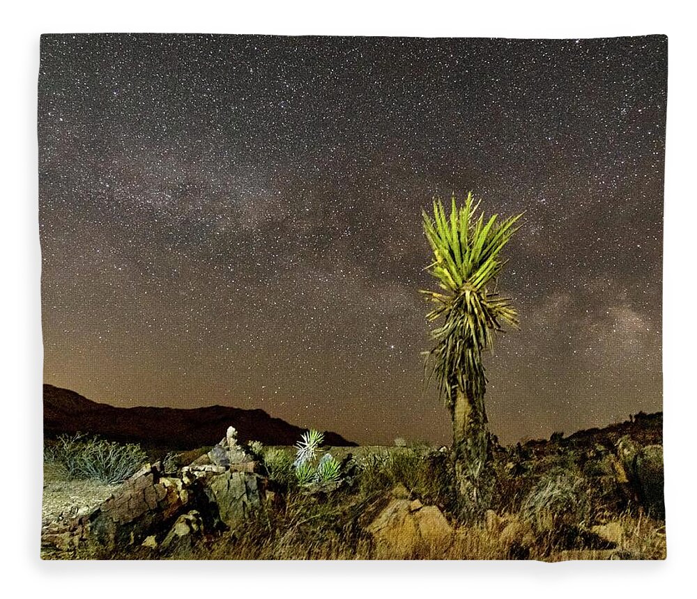 Joshua Tree Fleece Blanket featuring the photograph All Related by Daniel Hayes