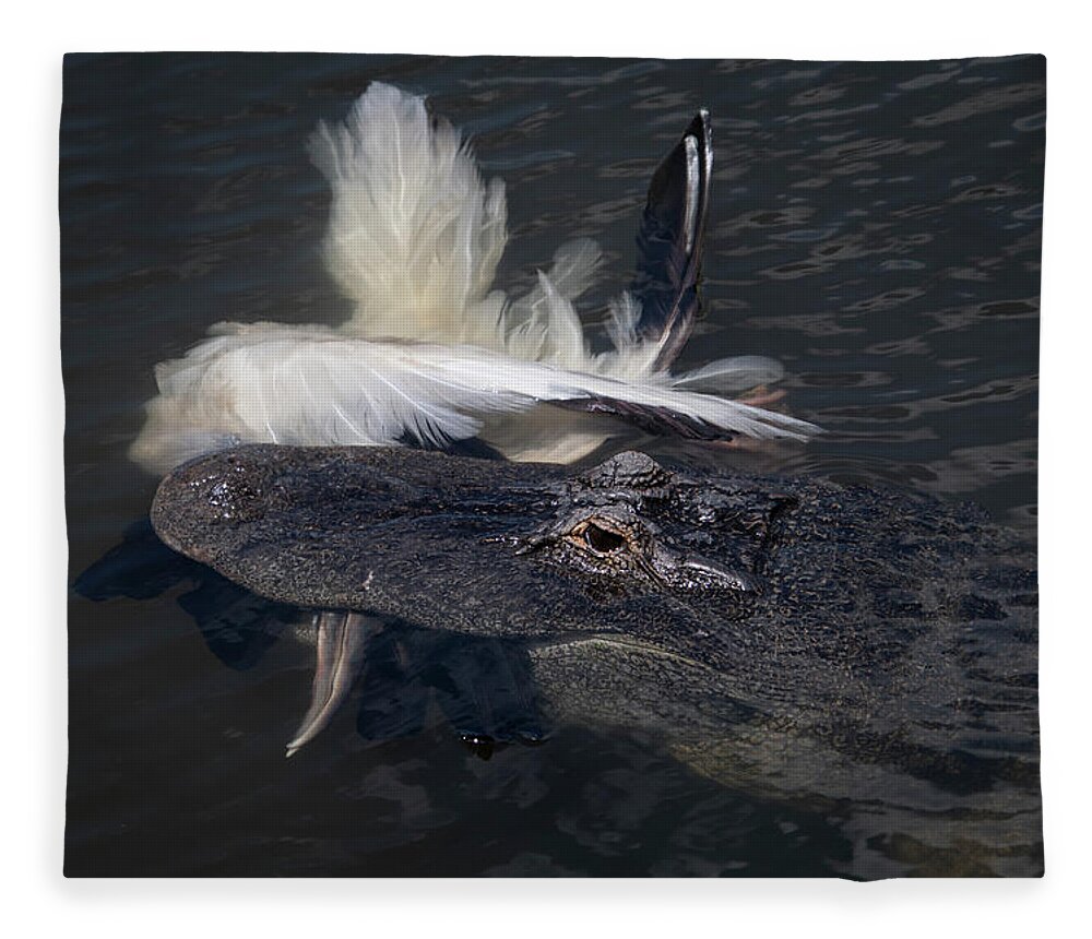Alligator Fleece Blanket featuring the photograph Alligator Eating Bird by Carolyn Hutchins
