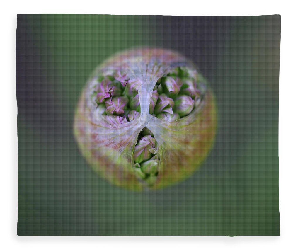  Fleece Blanket featuring the photograph Allium Covid Flower by Tammy Pool