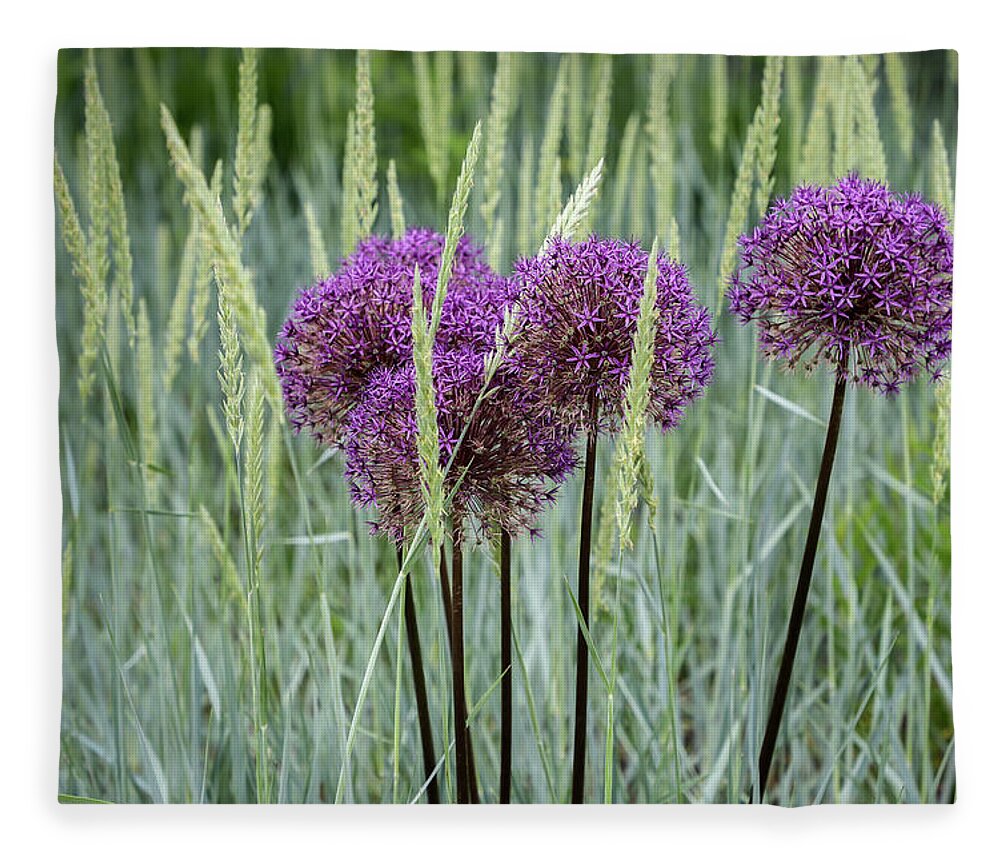 Dow Gardens Fleece Blanket featuring the photograph Allium in the Weeds by Robert Carter
