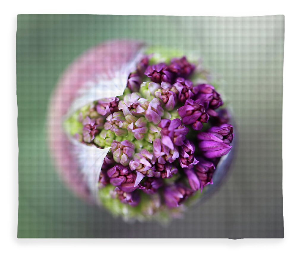 Beautiful Fleece Blanket featuring the photograph Allium New Beginnings by Tammy Pool