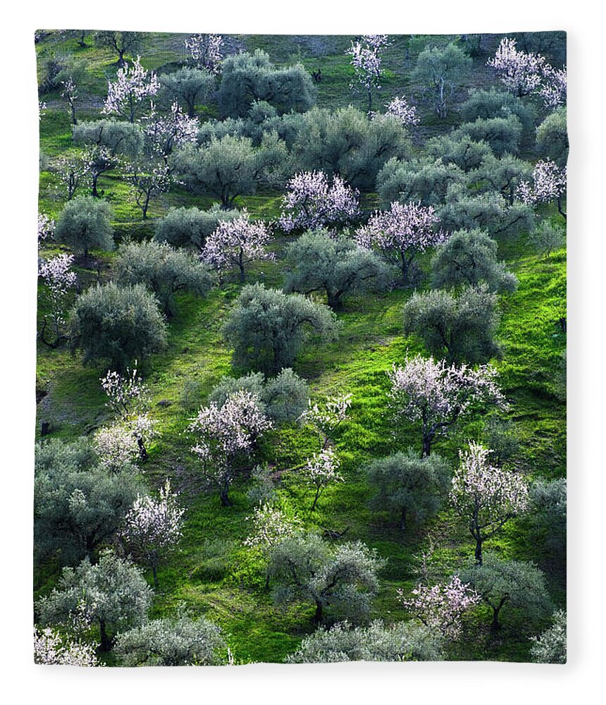 Almonds Fleece Blanket featuring the photograph Almond and Olive trees by Gary Browne