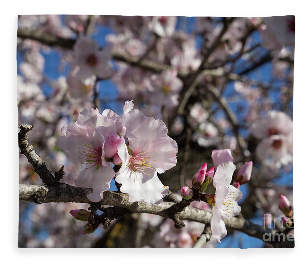 Spring Fleece Blanket featuring the photograph Almond Blossom 4 by Adriana Mueller