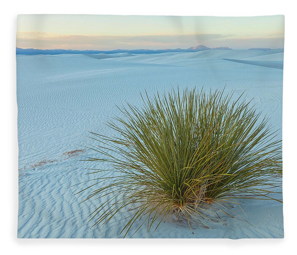 Sand Dunes Fleece Blanket featuring the photograph Alone In Desert by Jonathan Nguyen