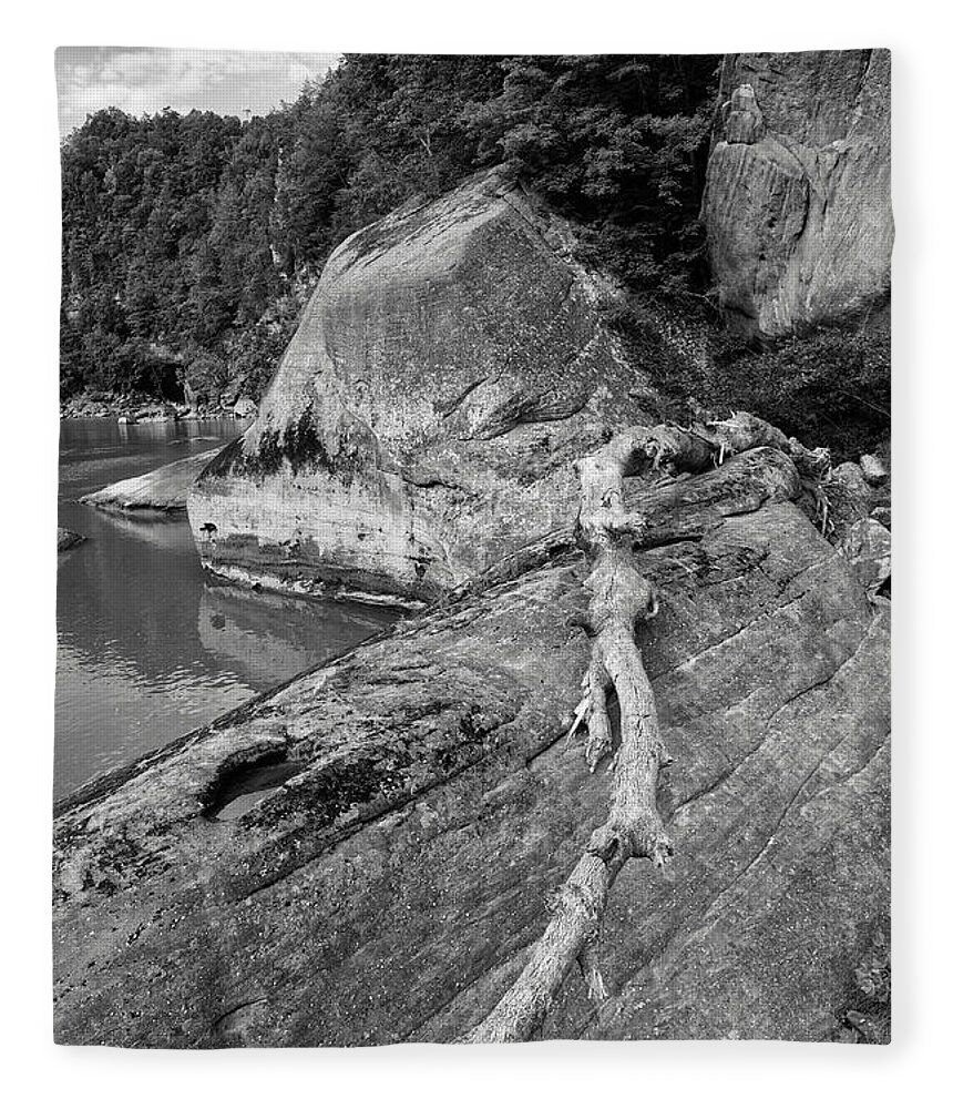 Black And White Fleece Blanket featuring the photograph Along The Cumberland River by Phil Perkins