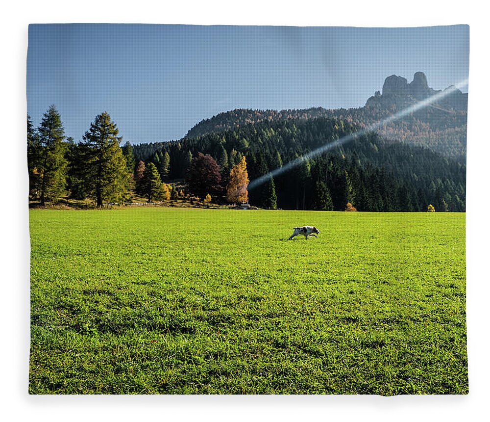 Carezza Fleece Blanket featuring the photograph Alpine dog #2 by Alberto Zanoni