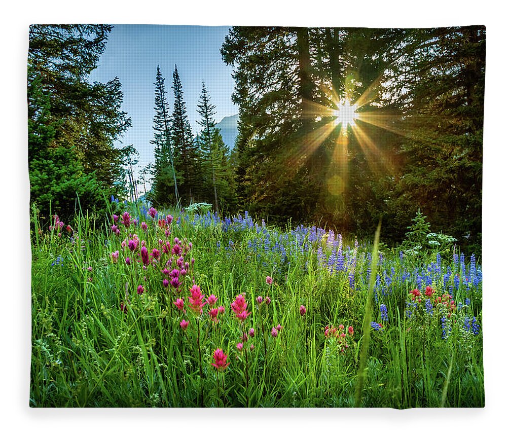 Alta Fleece Blanket featuring the photograph Alta Sunset and Wildflowers by Bradley Morris