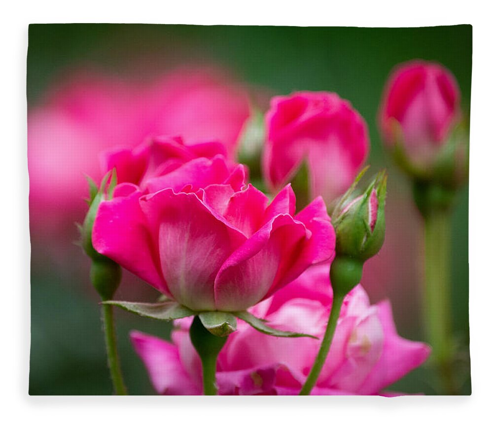 Pink Fleece Blanket featuring the photograph Always Comes Back to Pink by Linda Bonaccorsi