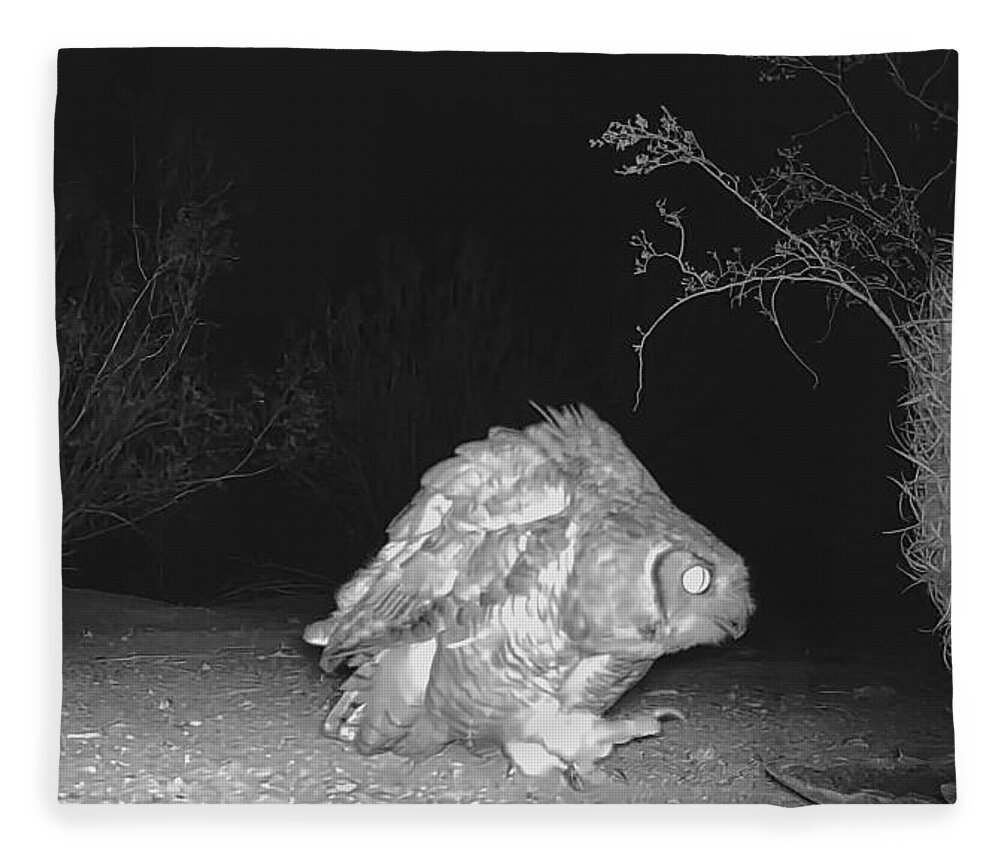 Great Horned Owl Fleece Blanket featuring the photograph Am I Bad or What? by Judy Kennedy