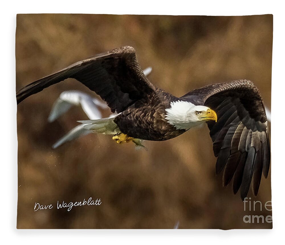 Eagle Fleece Blanket featuring the photograph American Bald Eagle by David Wagenblatt