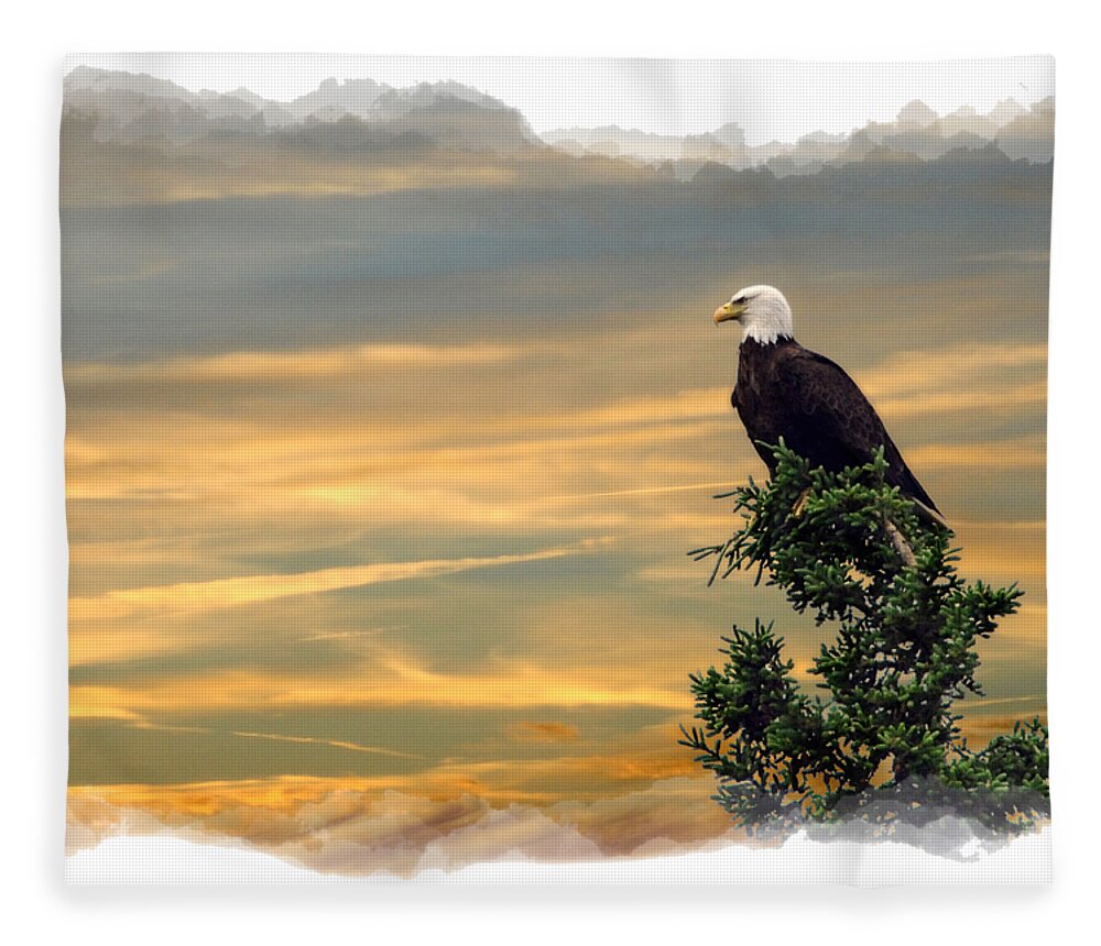 American Fleece Blanket featuring the photograph American Bald Eagle watching sunset by Daniel Friend