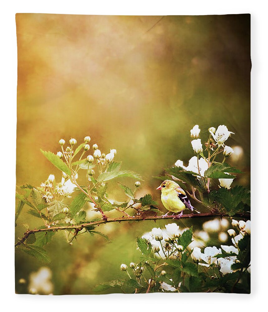 American Goldfinch Fleece Blanket featuring the photograph American Goldfinch and Blackberry Blossoms by Stephanie Frey