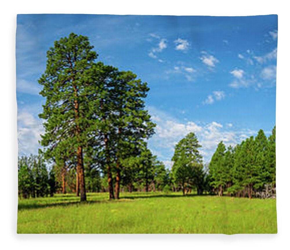 Arizona Fleece Blanket featuring the photograph Anasazi Meadow on Campbell Mesa by Jeff Goulden