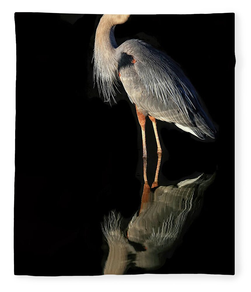 Great Blue Heron Fleece Blanket featuring the photograph And Then There Were Two by Donna Kennedy