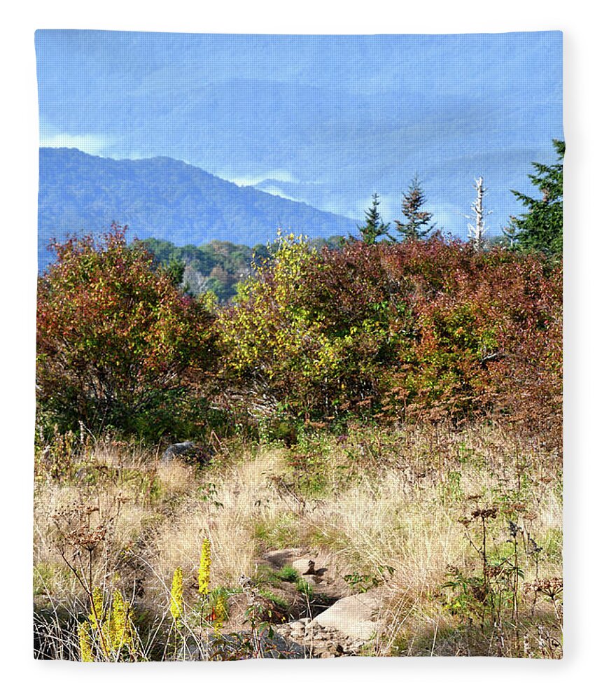 Andrews Bald Fleece Blanket featuring the photograph Andrews Bald 3 by Phil Perkins