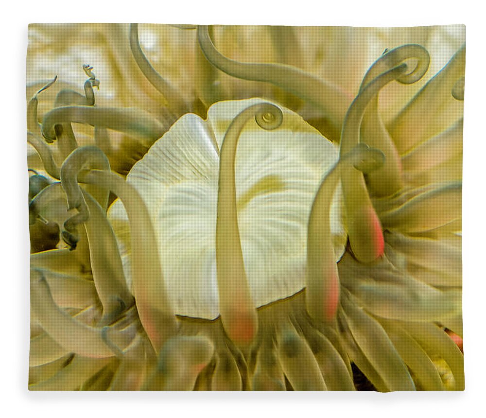 Anemone Fleece Blanket featuring the photograph Sea Anemone with Red by WAZgriffin Digital