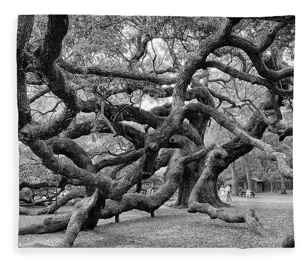 Angel Oak Tree Fleece Blanket featuring the photograph Angel Oak Tree by Louis Dallara