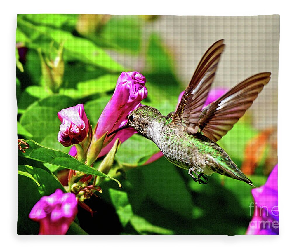 Anna's Hummingbird Fleece Blanket featuring the photograph Anna's hummingbird by Amazing Action Photo Video