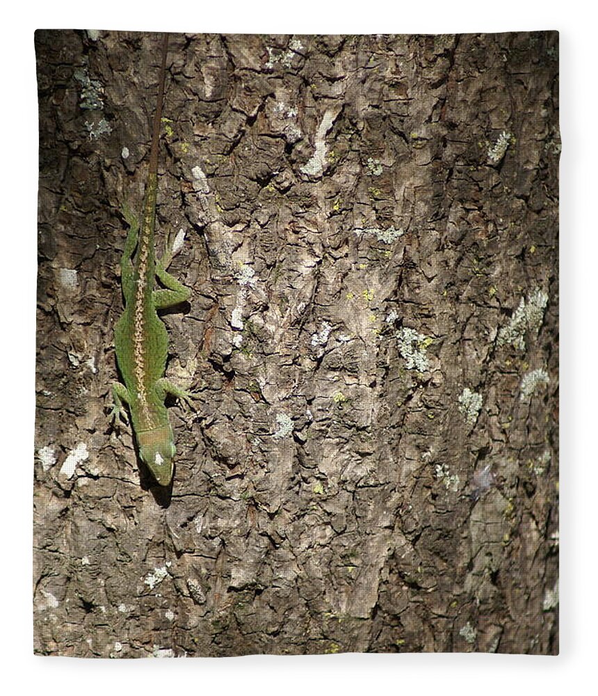  Fleece Blanket featuring the photograph Anolis Carolinensis by Heather E Harman