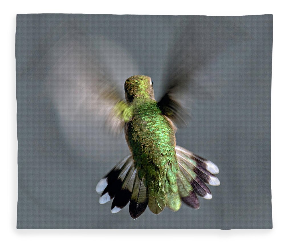Colors Fleece Blanket featuring the photograph Another Perspective by Paul Vitko