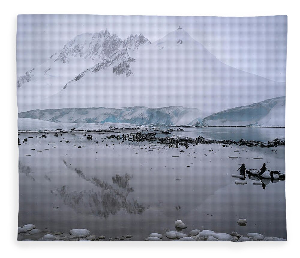 Penguins Fleece Blanket featuring the photograph Antarctic Reflections by Laura Hedien
