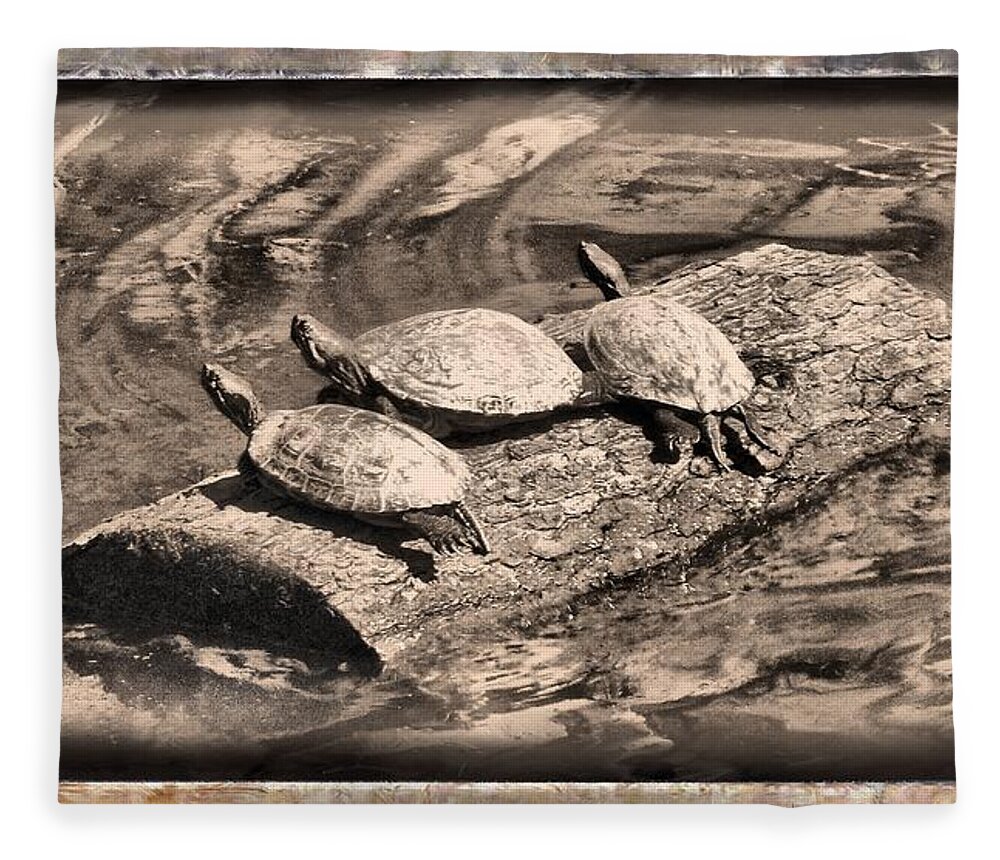 Turtle Fleece Blanket featuring the mixed media Antique Turtles by Christopher Reed
