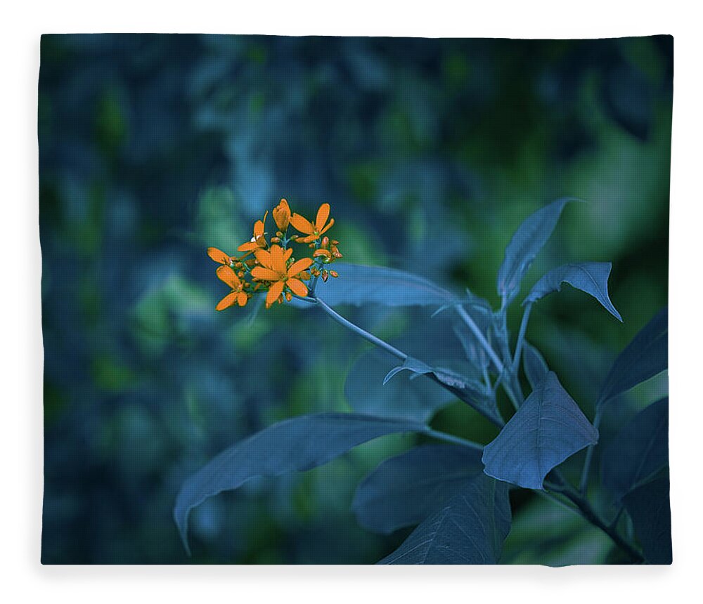 Blue Flower Art Fleece Blanket featuring the photograph Aquarius of The Realm by Gian Smith