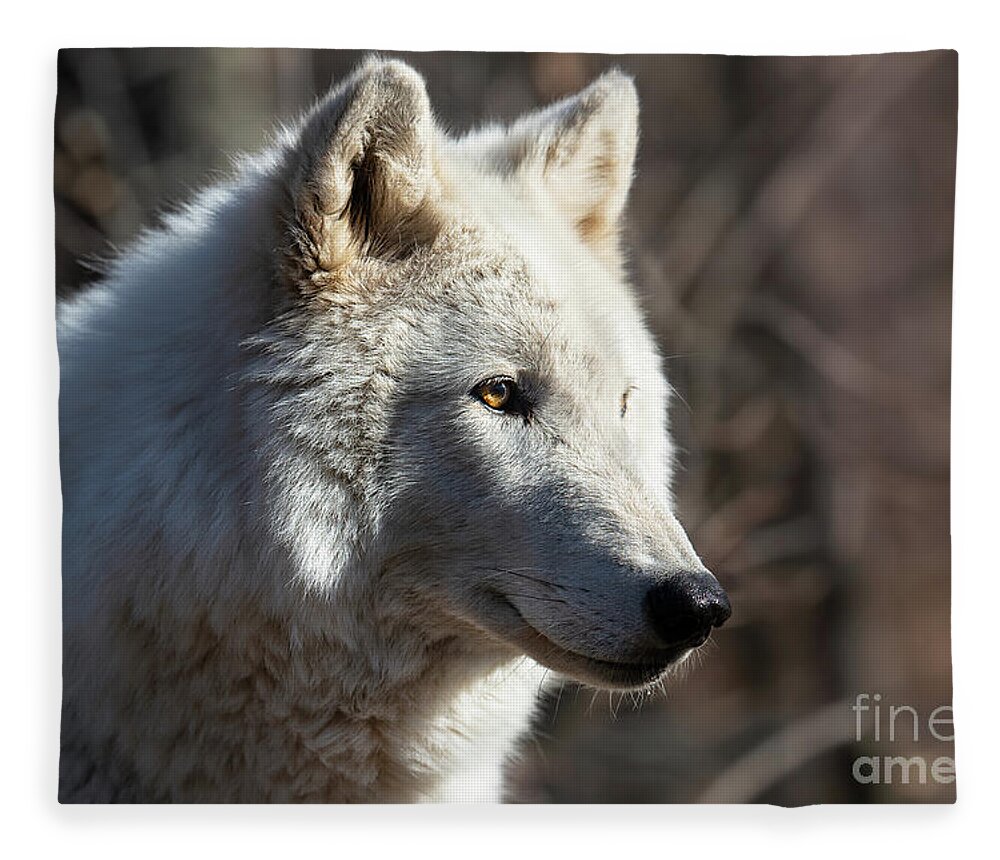 Winter Fleece Blanket featuring the photograph Arctic wolf - Portrait by Rehna George