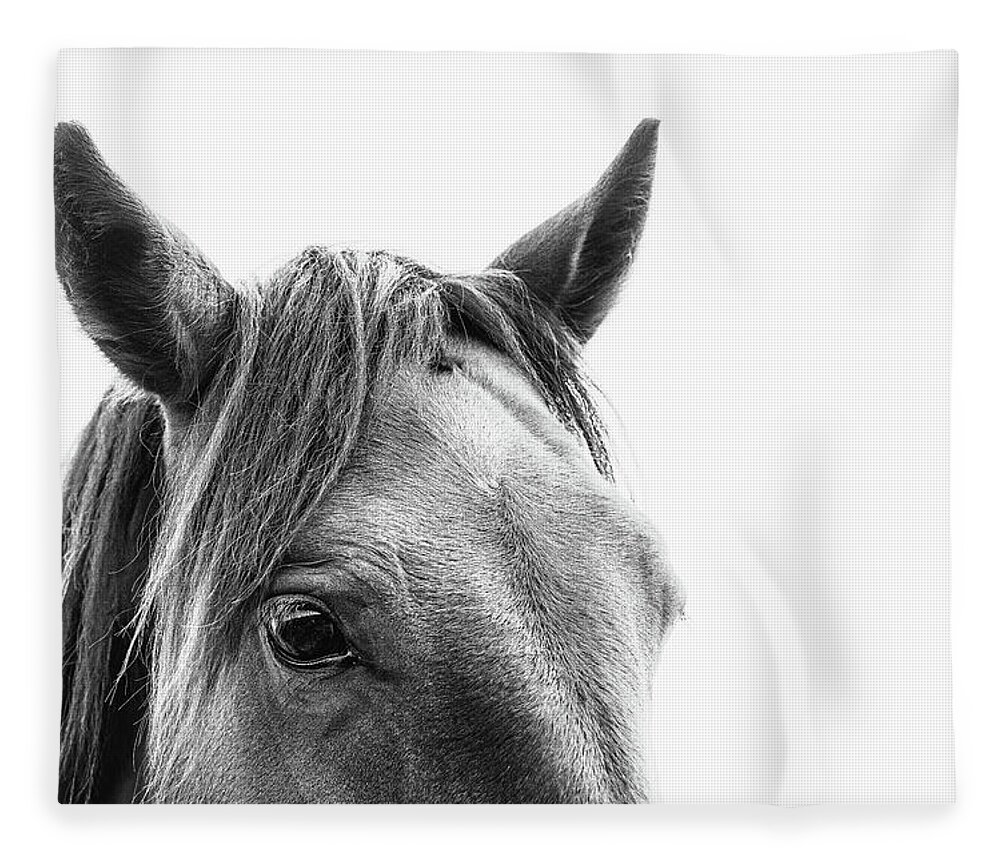 Horse Fleece Blanket featuring the photograph Arlo II - Horse Art by Lisa Saint