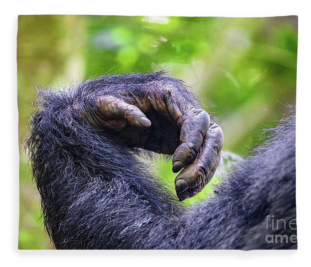 Chimpanzee Fleece Blanket featuring the photograph Arm and hand detail of an adult common chimpanzee, pan troglodyt by Jane Rix