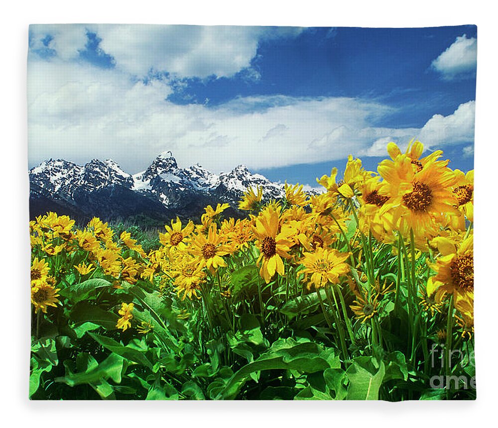 Dave Welling Fleece Blanket featuring the photograph Arrowleaf Balsamroot Grand Tetons National Park Wyoming by Dave Welling