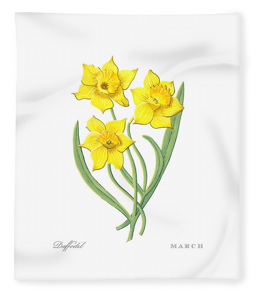 Daffodil Fleece Blanket featuring the painting Daffodil March Birth Month Flower Botanical Print on White - Art by Jen Montgomery by Jen Montgomery