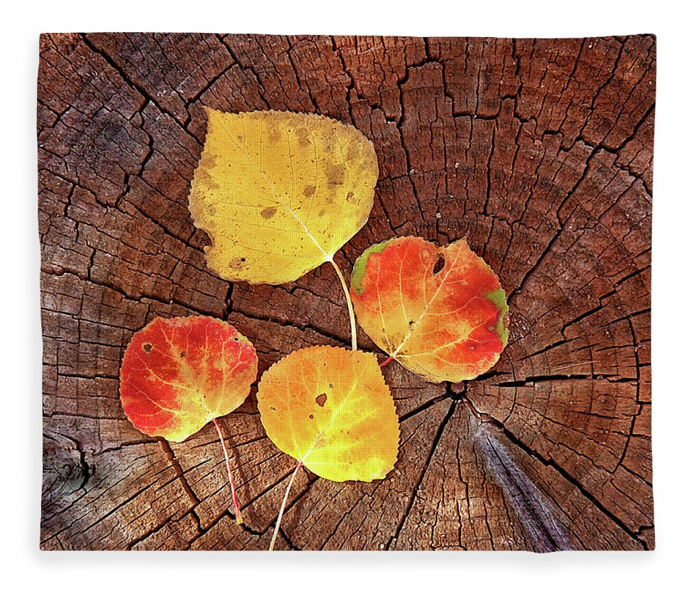 Colorado Fleece Blanket featuring the photograph Aspen leaves on a log by Bob Falcone