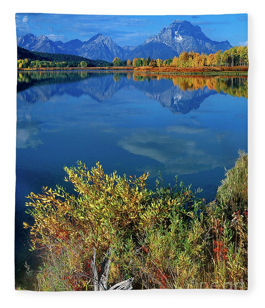 Dave Welling Fleece Blanket featuring the photograph Aspens Fall Oxbow Bend Grand Tetons National Park by Dave Welling