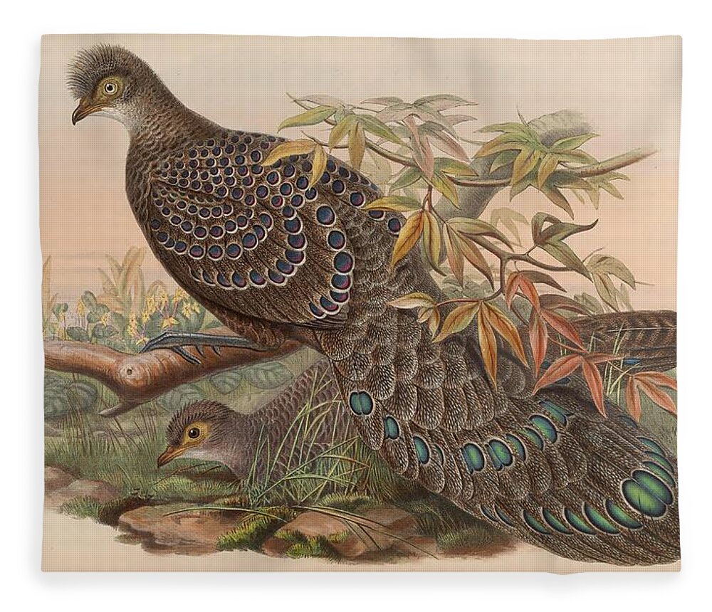 John Fleece Blanket featuring the mixed media Assam Peacock Pheasant by World Art Collective